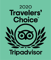 tripadvisor 2020